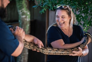 Everglades: visita privada a la exhibición de reptiles de Sawgrass Park