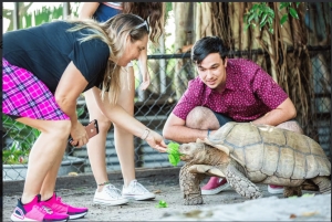 Everglades: visita privada a la exhibición de reptiles de Sawgrass Park