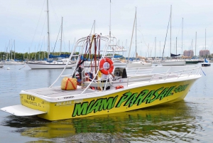 Beleef Miami Parasailing Fun Vlieg Hoog Voel Je Vrij