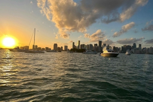 Upplev den ultimata solnedgångskryssningen på en 50-fots yacht!