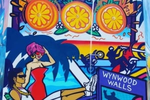 Explora en la Vibrante Escena Artística de Wynwood Art Tour Privado