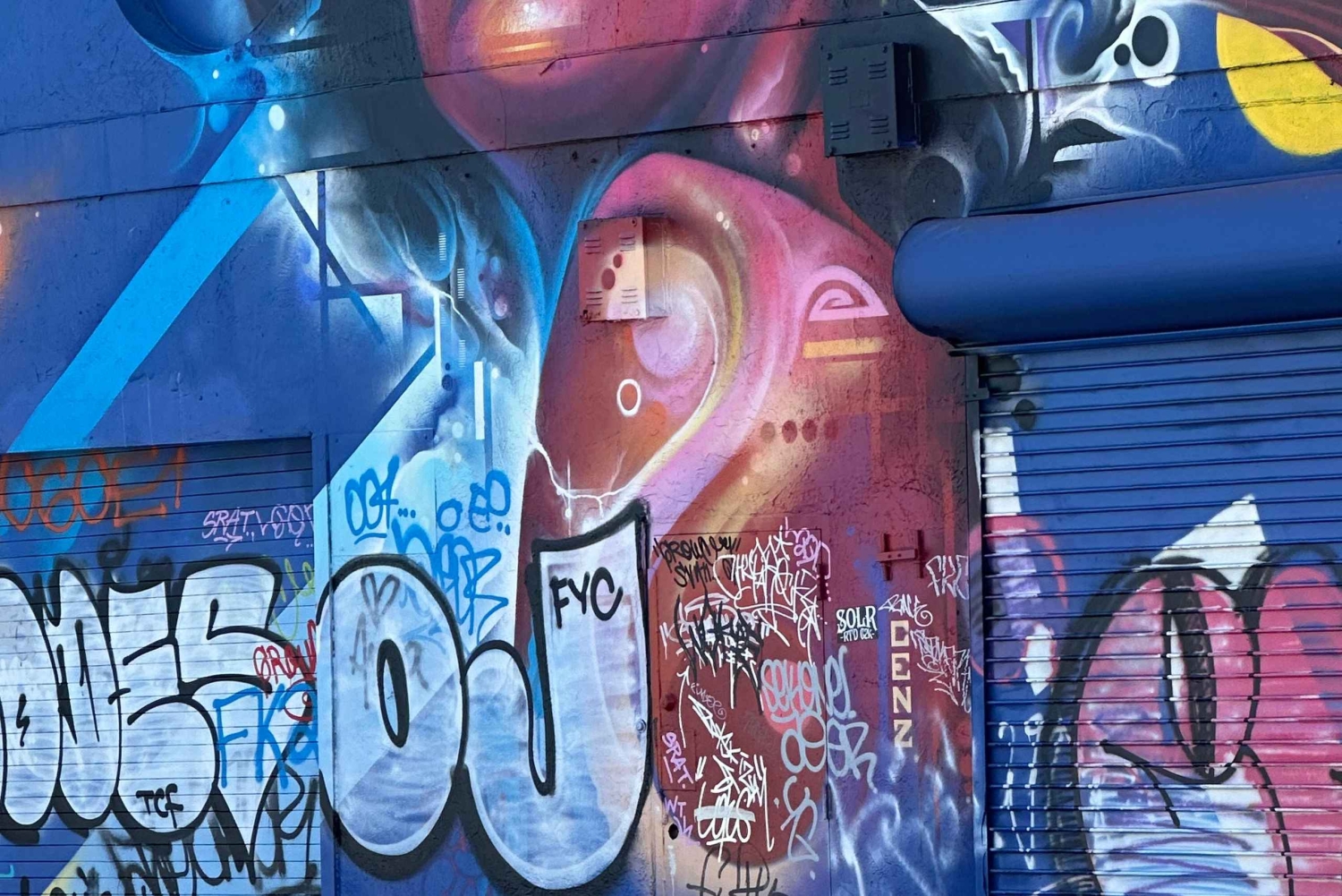 Explore Miami with a Private driver