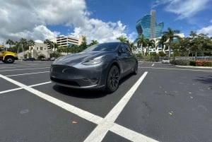 Utforska Miami med en privat förare