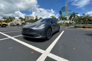 Explore Miami with a Private driver