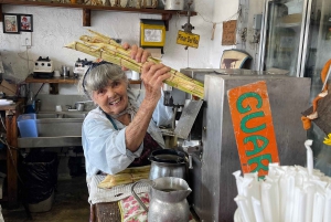 Family Friendly Walking Tour of Little Havana