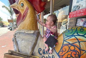 Family Friendly Walking Tour of Little Havana