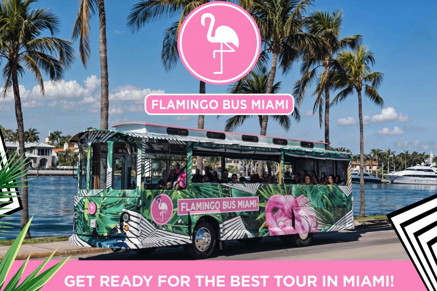 Flamingo bustour Miami Tour Miami Beach Wynwood Design District