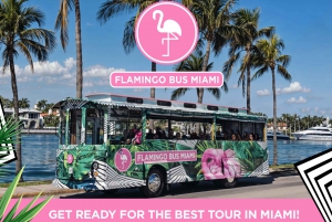 Tour Flamingo Bus Miami Tour in autobus all'aria aperta Divertimento a Miami