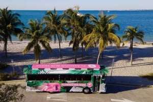 Excursão de ônibus Flamingo Miami Miami Beach Wynwood Design District