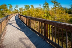 Floryda: Big Cypress, Everglades i Overseas Highway ...