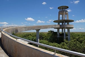 Floryda: Big Cypress, Everglades i Overseas Highway ...