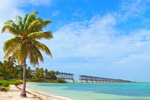 Floryda: Big Cypress, Everglades i Overseas Highway ...