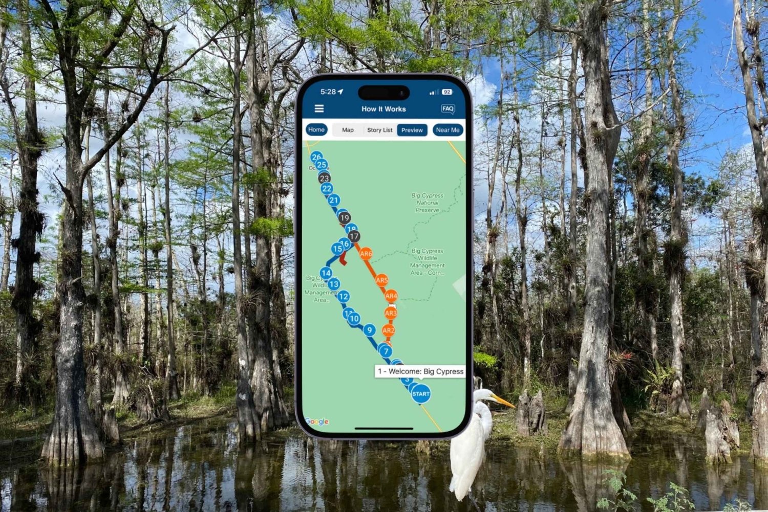 Floride : Visite guidée audio de la réserve nationale de Big Cypress