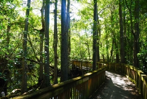 Florida: Big Cypress National Preserve Kørende Audio Tour