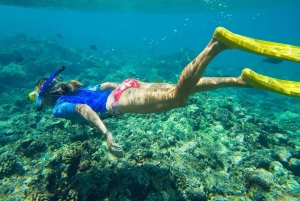 Florida Keys: avventura di un'intera giornata in kayak e snorkeling nella barriera corallina