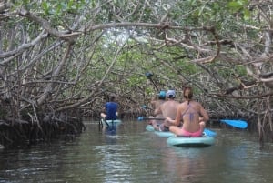 Florida Keys: Keys Keys: Kokopäivän kajakki- ja snorklausriutta-seikkailu.