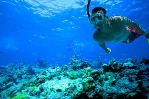 Florida Keys: Full-Day Kayak and Snorkel Reef Adventure