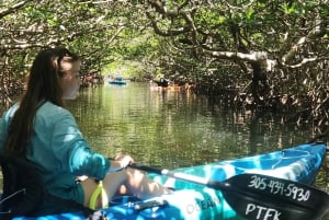 Florida Keys: Kajak + snorkel koraalrif avontuur van een hele dag