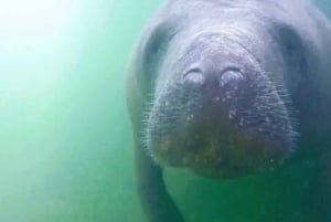 Les Keys de Floride : Journée complète de kayak et de plongée en apnée sur les récifs coralliens