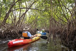 Les Keys de Floride : Journée complète de kayak et de plongée en apnée sur les récifs coralliens