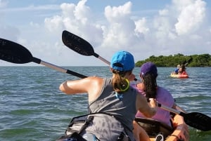 Флорида-Кис: каякинг на целый день + сноркелинг на коралловых рифах