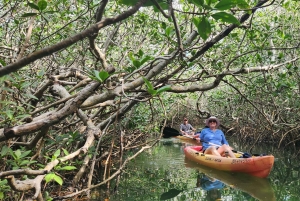 Флорида-Кис: каякинг на целый день + сноркелинг на коралловых рифах