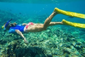 Флорида-Кис: каякинг на целый день + сноркелинг на коралловых рифах