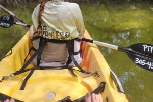 Флорида-Кис: каякинг на целый день + сноркелинг на коралловых рифах