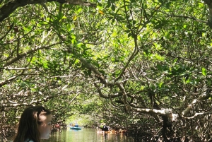 Флорида-Кис: каякинг на целый день + сноркелинг на коралловых рифах