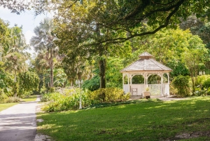 Fort Lauderdale: Flamingo Gardens inträdesbiljett