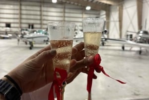 Au départ de Fort Lauderdale : Visite privée en avion de luxe