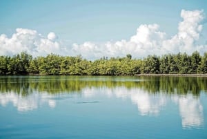 Excursion d'une journée de Fort Lauderdale à Islamorada