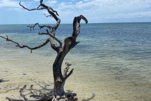 Dagsutflykt från Fort Lauderdale till Islamorada