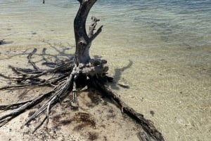 Excursión de un día de Fort Lauderdale a Islamorada