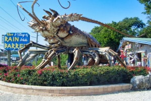 Excursión de un día de Fort Lauderdale a Islamorada