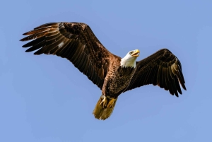 Excursión de un día de Fort Lauderdale a Islamorada