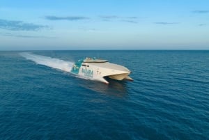 Vanuit Fort Lauderdale: dagtrip Bahama's per veerboot