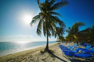 Excursión de un día en ferry por las Bahamas