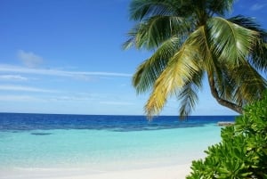 Excursión de un día en ferry por las Bahamas