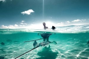 Escursione di un'intera giornata alle Bahamas in traghetto