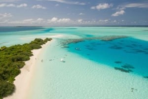 Escursione di un'intera giornata alle Bahamas in traghetto