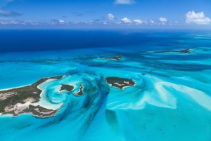 Da Miami Beach: Traghetto per Bimini andata e ritorno e trasferimenti dall'hotel