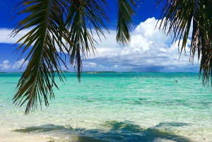 From Miami: Bimini Bahamas Day Trip w/ Hotel Pickup & Ferry
