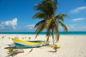 From Miami: Bimini or Grand Bahama Day Trip by Ferry