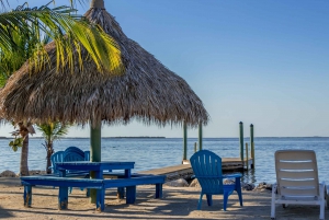 From Miami: Day Trip to Key Largo with Optional Activities