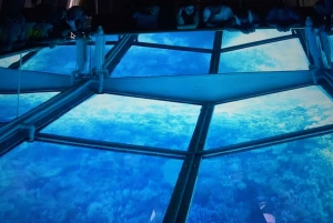 From Miami: Day Trip to Key Largo with Optional Activities