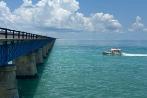 Fra Miami: Dagsudflugt til Key West med valgfri afhentning på hotel