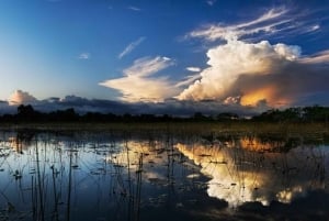 Desde Miami: Everglades de noche con tour guiado en hidrodeslizador