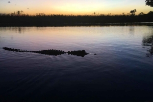 Desde Miami: Everglades de noche con tour guiado en hidrodeslizador