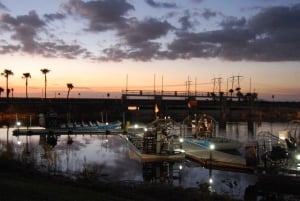 Desde Miami: Everglades de noche con tour guiado en hidrodeslizador